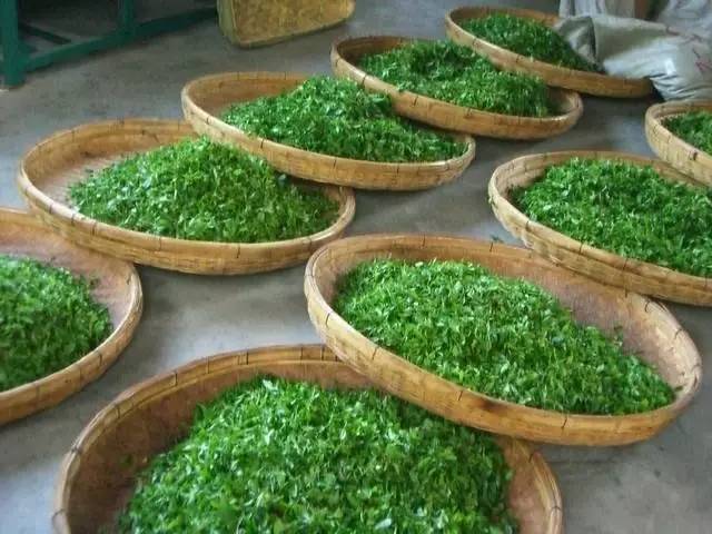 青岛的啤酒和蛤蜊,野生干蛤蜊青岛特产