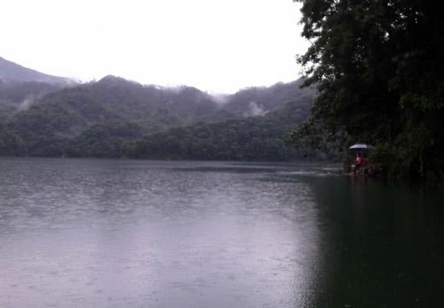 钓鲤鱼新鲜玉米好还是发酵玉米好,钓鲤鱼挂玉米粒的正确方法视频