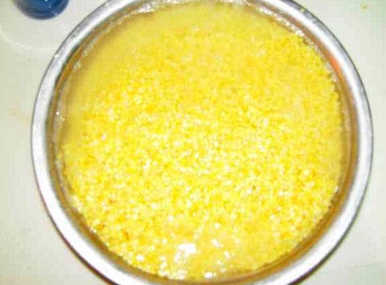 钓鲤鱼新鲜玉米好还是发酵玉米好,钓鲤鱼挂玉米粒的正确方法视频