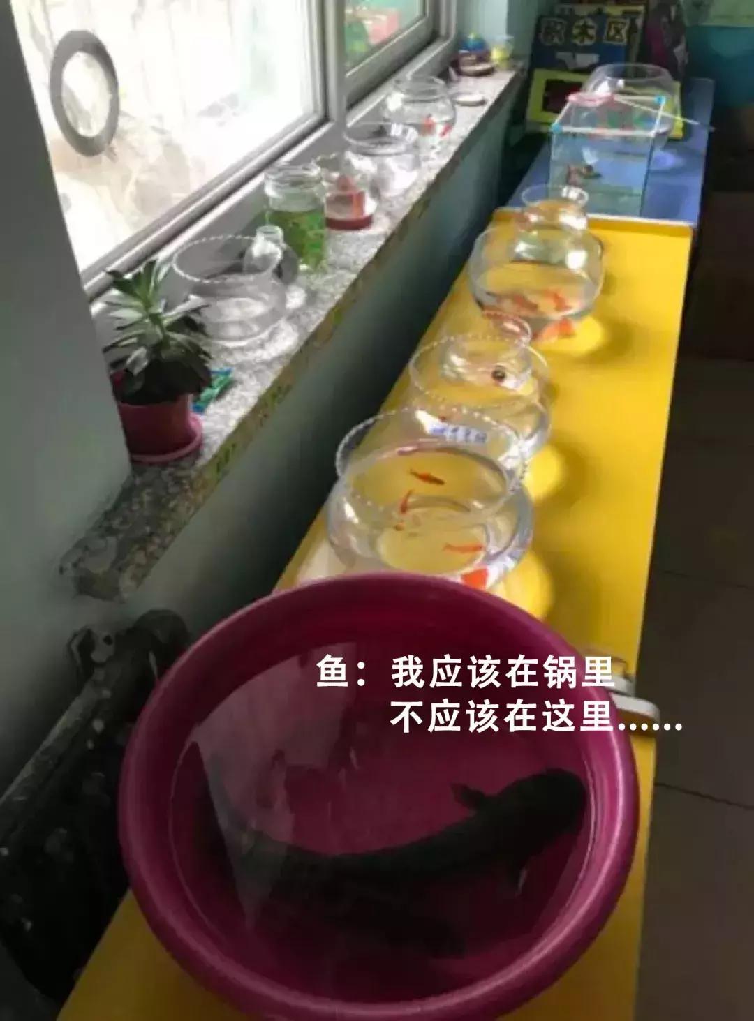 数1亿粒米?画30天月亮?这些奇葩作业把家长逼疯了