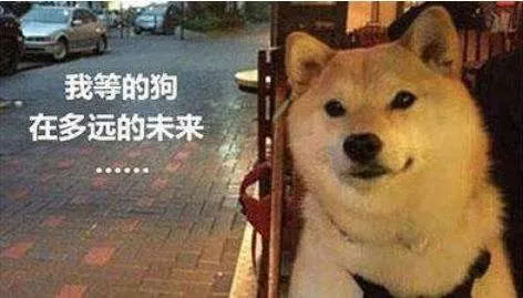 看过了街头魔幻标语，就连段子手和语文老师都要甘拜下风！