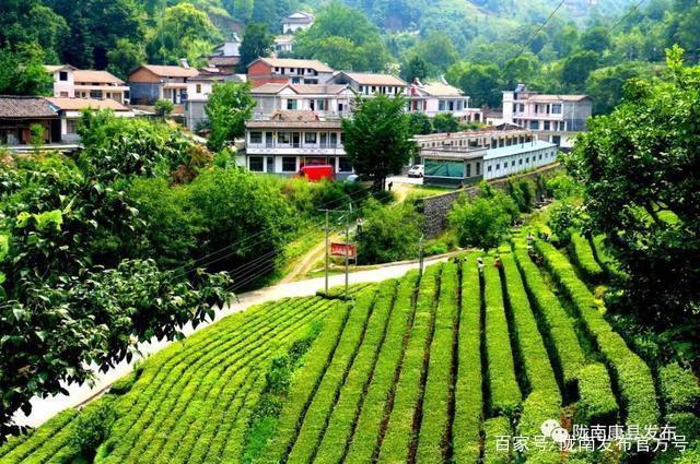 陇南市乡村振兴现状,乡村振兴乡村新变化