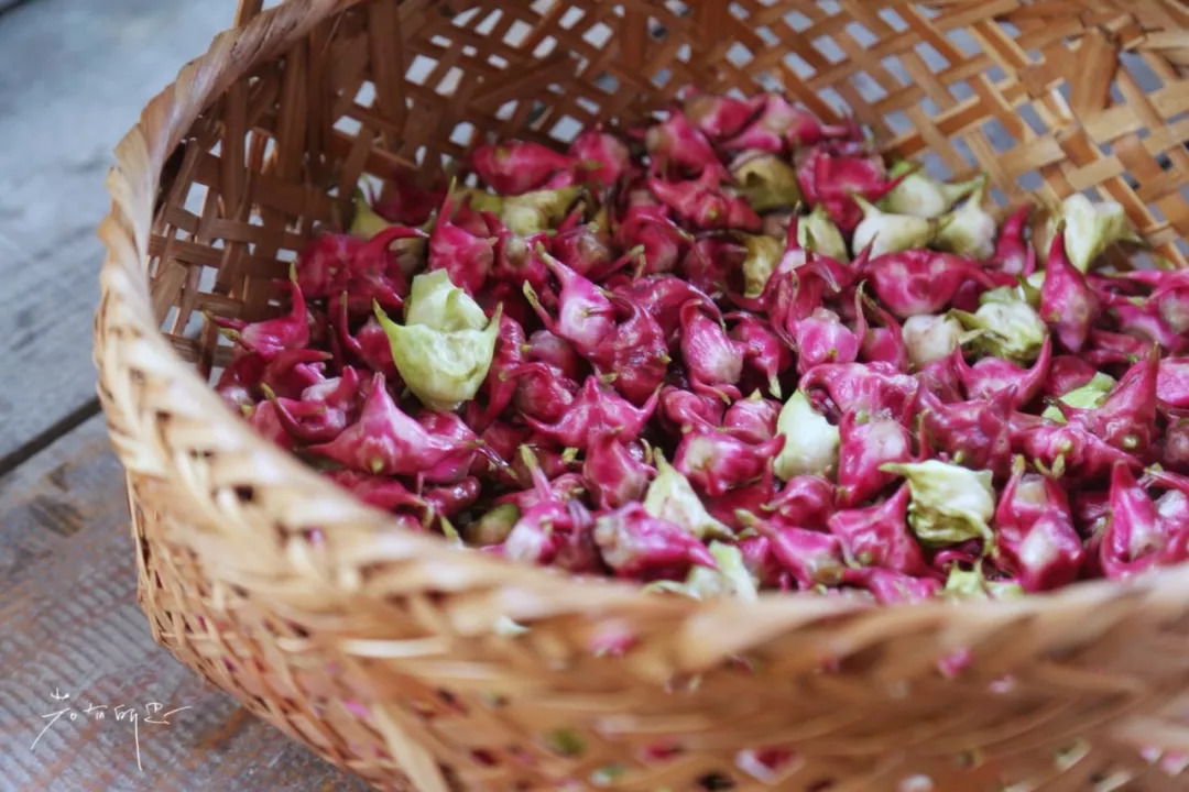 沙家浜二日游旅游攻略,沙家浜春节一日游攻略