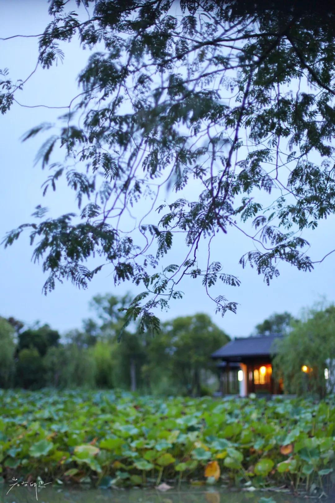 沙家浜二日游旅游攻略,沙家浜春节一日游攻略