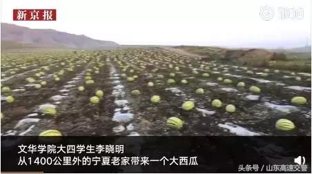 爆笑！收到2米多高代购清单的男子代购回来啦！「蜀黍周趣闻‖NO.43」