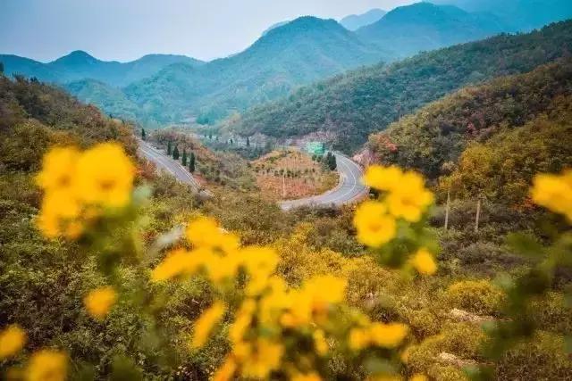 河南十大最美公路自驾游,河南自驾最漂亮的风景