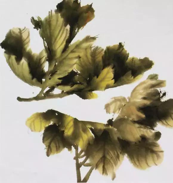 国画牡丹叶子怎样布局,国画牡丹叶子的布局