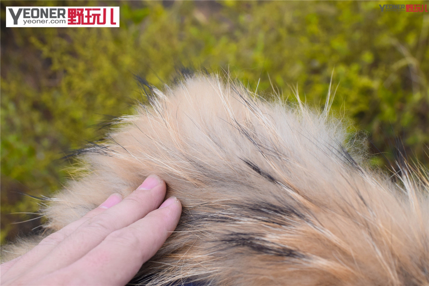 discovery2023中长款羽绒服,户外风潮中长款羽绒服