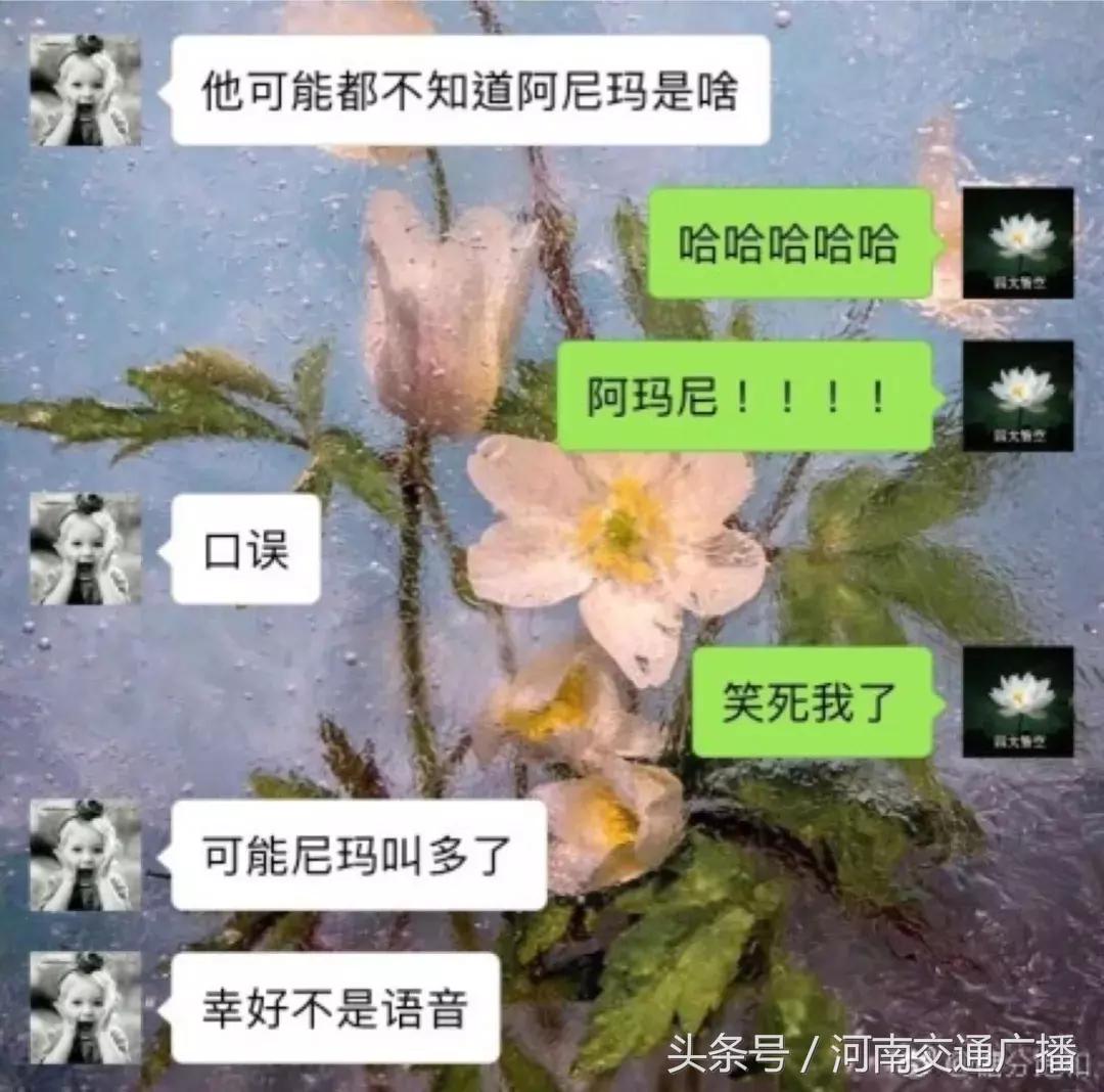 与直男聊天搞笑记录,网友晒出的和直男的聊天记录