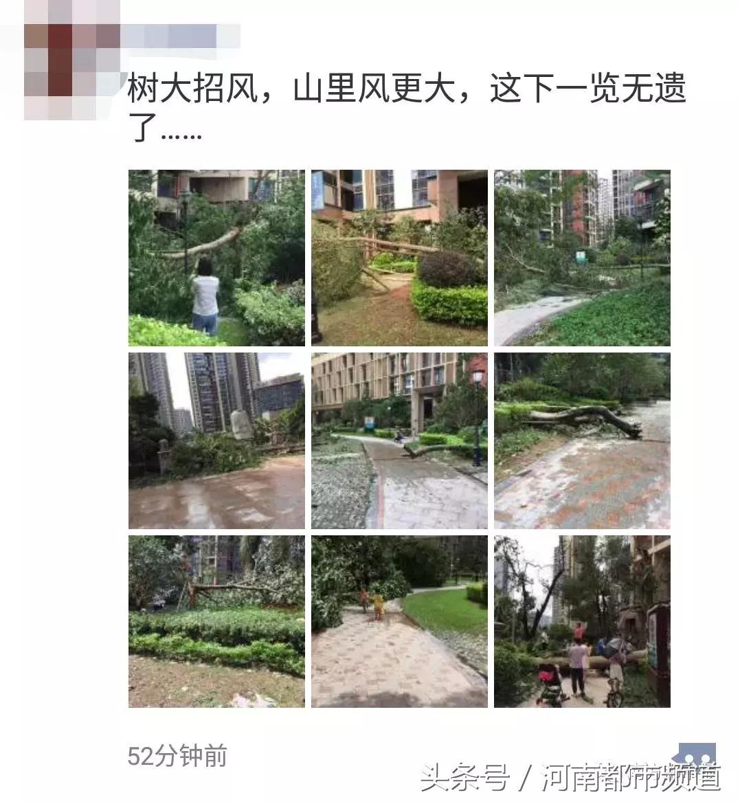 “山竹”过后首个工作日：广东人爬树都要去上班！