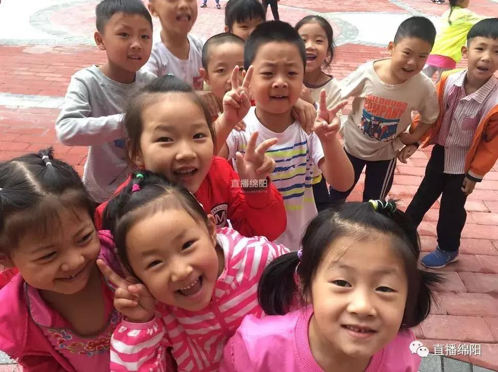 绵阳园艺山的小学哪家好,园艺山住宅区