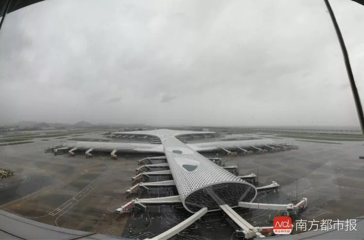 飞行员怎么应对台风的呢,飞机飞行时如果遇见台风怎么办