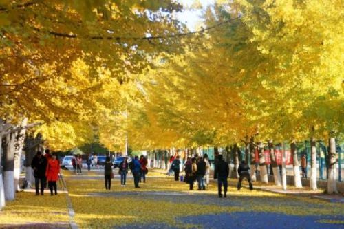 沈阳高校很多，但最强的是这三所，辽宁大学只能排第二