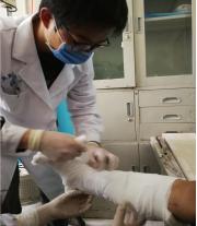 骨科专家帮扶,骨科下乡帮扶预期目标