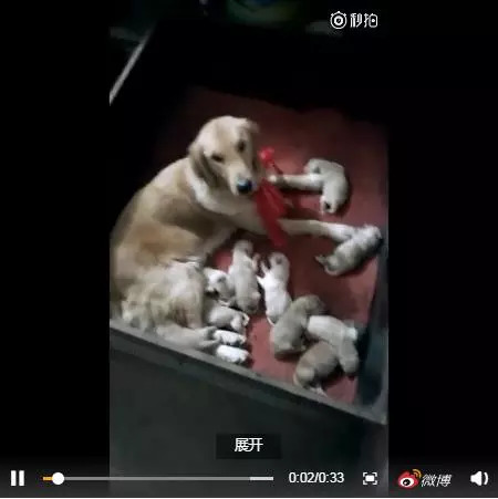 「蜀黍周趣闻」爆笑！收到2米多高代购清单的男子代购回来啦！