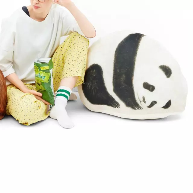 日本人家里东西太多,日本必备10种东西