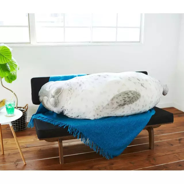 日本人家里东西太多,日本必备10种东西