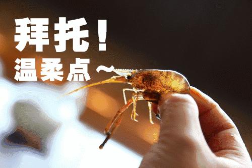 苏州旅游美食住宿攻略推荐,苏州美食攻略本地人推荐老店