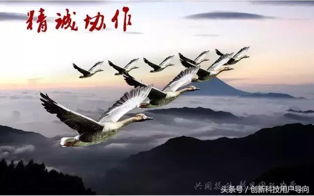 一个团队如何管理,团队项目管理软件