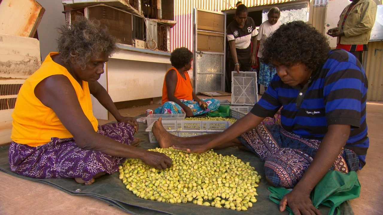 卡卡杜李吃了有什么作用,卡卡杜李身体乳能美白吗