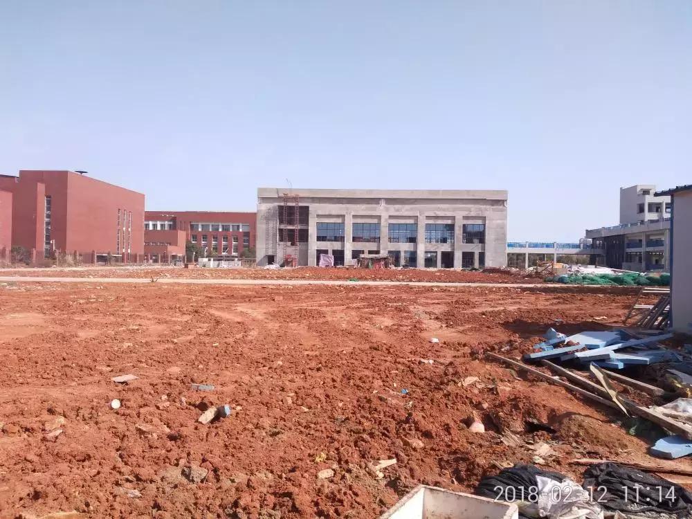 毒跑道处理结果,毒跑道