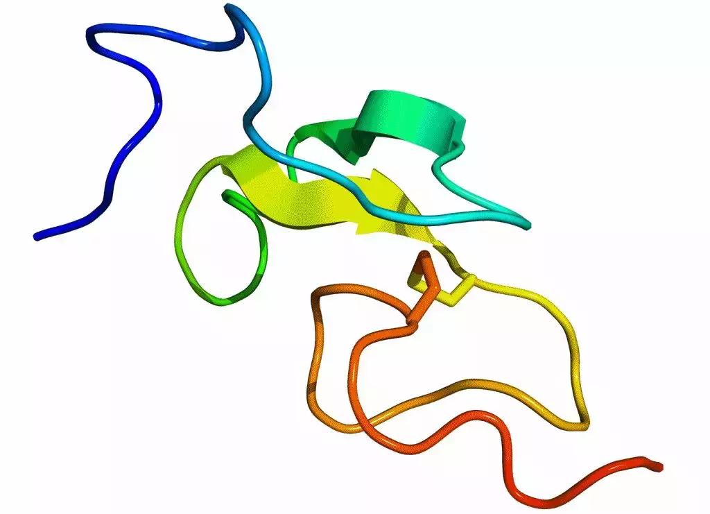 一支冻干粉6瓶精华,一支冻干粉6瓶精华液