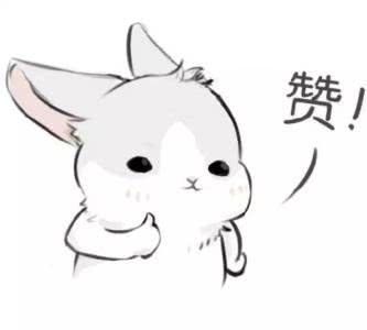 高铁上神秘密码箱,高铁神秘密码