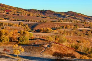 金秋坝上草原摄影,坝上秋天摄影攻略