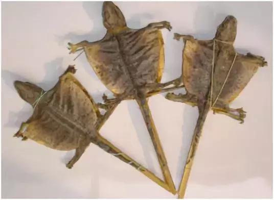 最不可思议的泡酒材料,十种最奇葩的泡酒