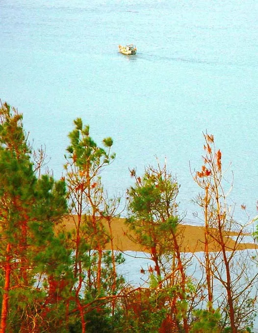 璇椾汉寮犵窘,寮犵窘姹熻タ