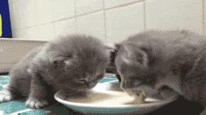 奶粉一般喝到几岁会比较合适,婴幼儿奶粉喝到几岁就可以不喝了