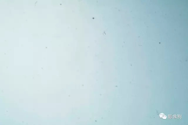 佳能尼康索尼哪个相机质量最好,佳能尼康索尼出图效果