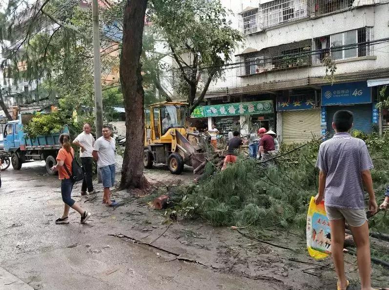 请给他们多一点时间！端州全城风后大修缮