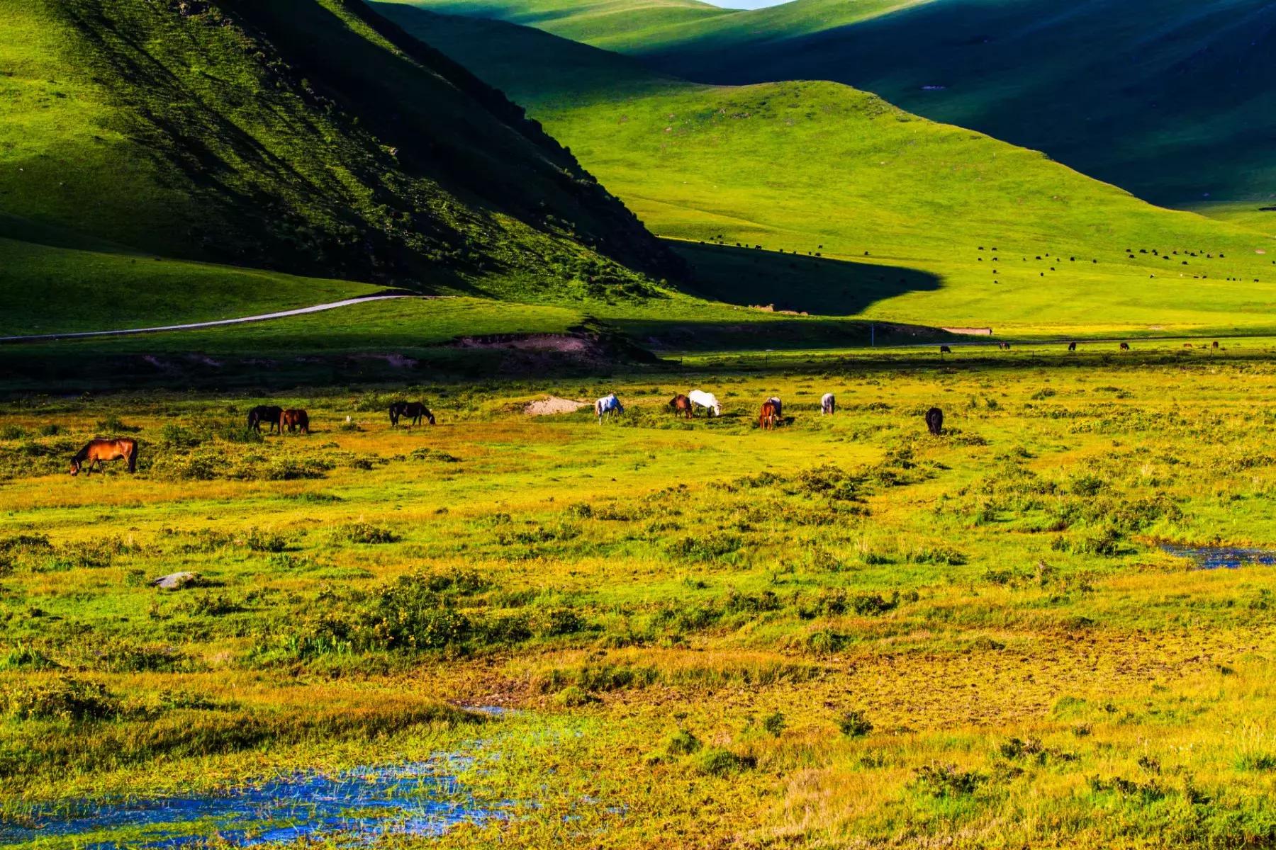 年宝玉则神山,年宝玉则天堂湖