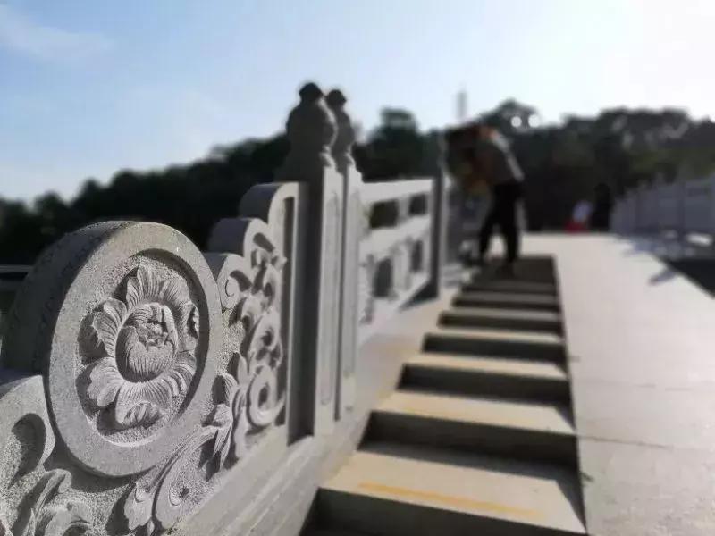 大连人最熟悉的“植物园”做了一次“整容”！一睹为快！