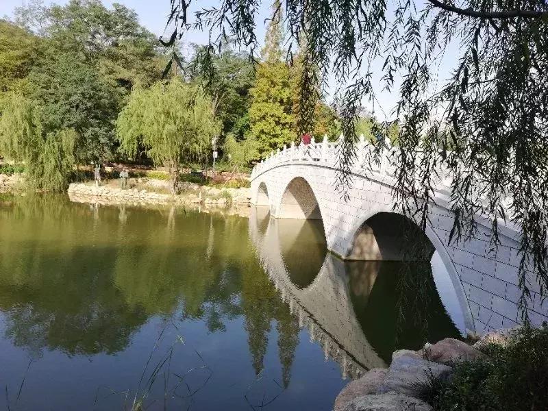 大连人最熟悉的“植物园”做了一次“整容”！一睹为快！