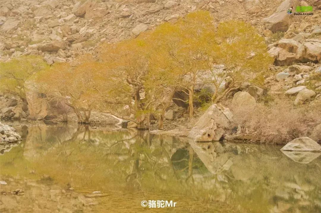 跟着大咖体验南疆最经典路线，玄奘东归路、沙漠胡杨、民俗风情！