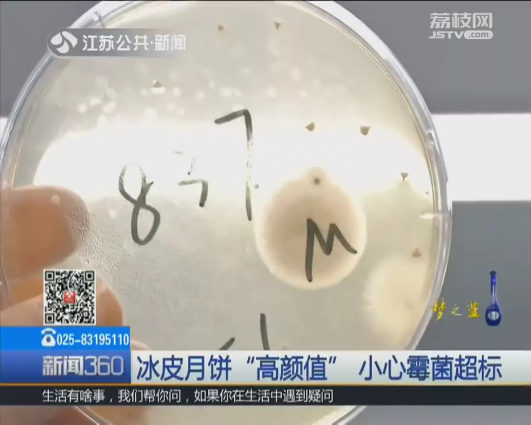 苏州不二家这些月饼不合格，吓坏网友：吃了好几年了！