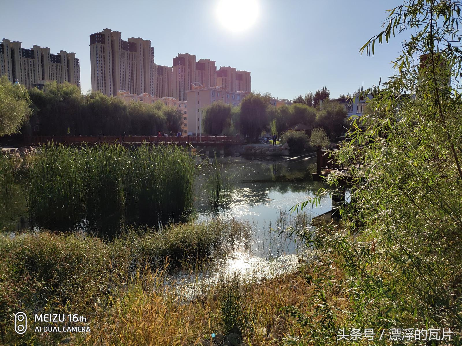 魅族16pro深度评测,魅族16评测蓝色字体