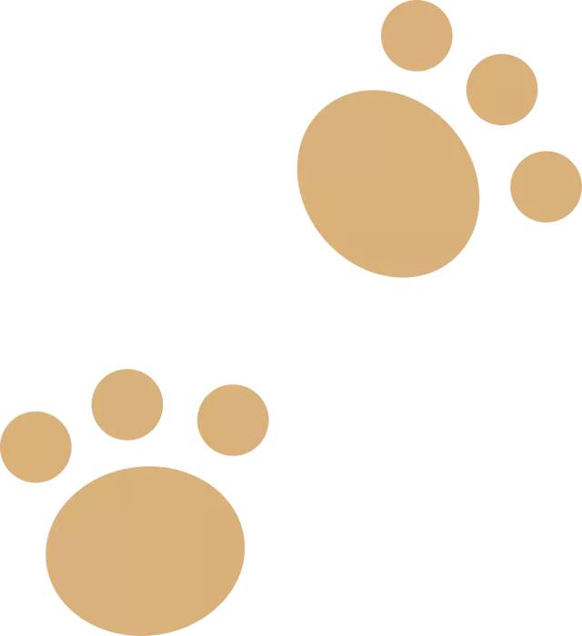 中秋福利！这儿有一份免费亚健康体检送给您！