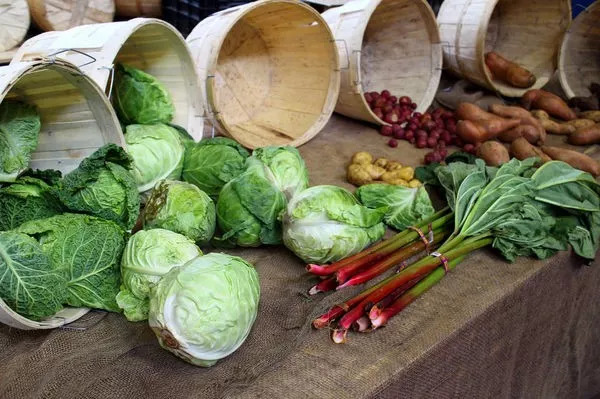 社区团购团长的痛点,社区团购服务分析