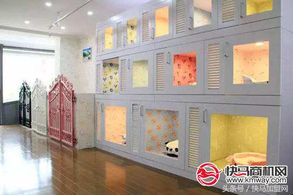 宠物市场规模将达8000亿元,宠物市场和宠物店区别