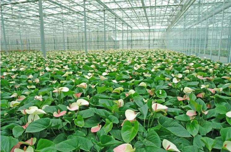 上海旅游新天地,上海东台路古玩城