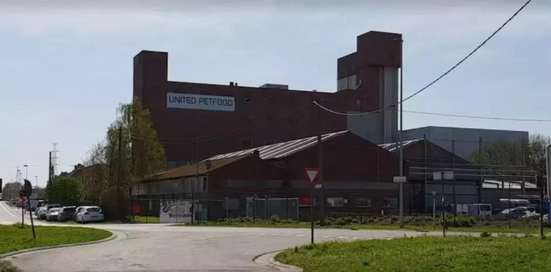 常见进口猫狗粮品牌有哪些,进口猫狗粮最新消息