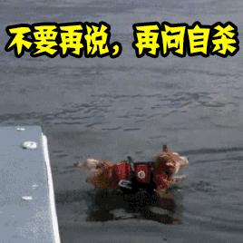 说“上海没特产”的朋友,请看完这篇再绝交