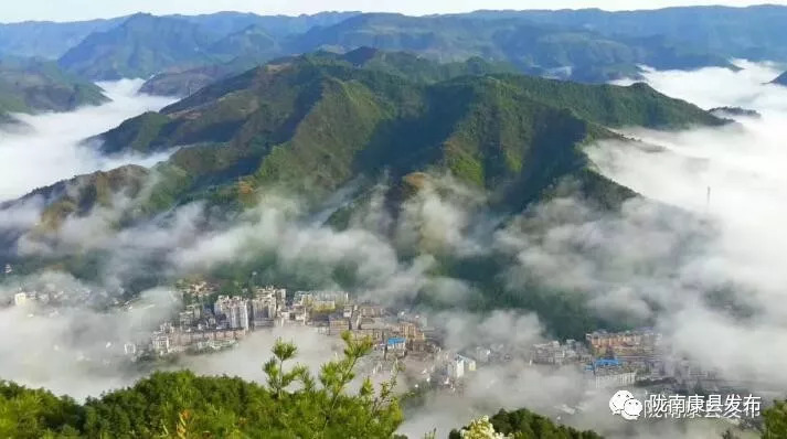 甘肃康县山珍图片,青岛康县山珍图片