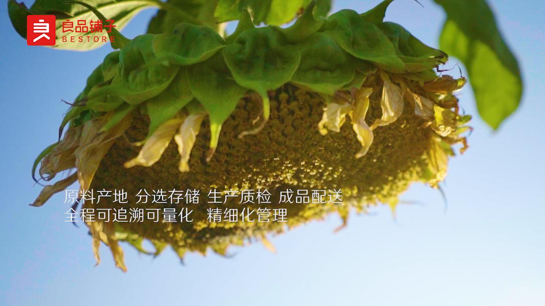 良品铺子发展能力分析,一粒瓜子的质量