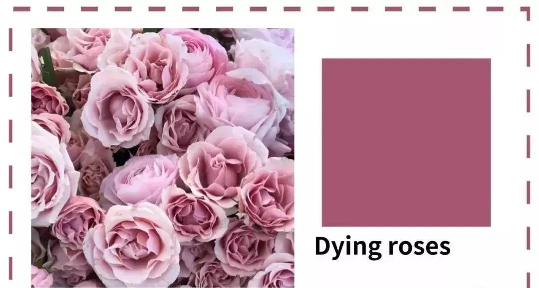 口红今年流行款,黄黑皮适合万人迷的口红吗