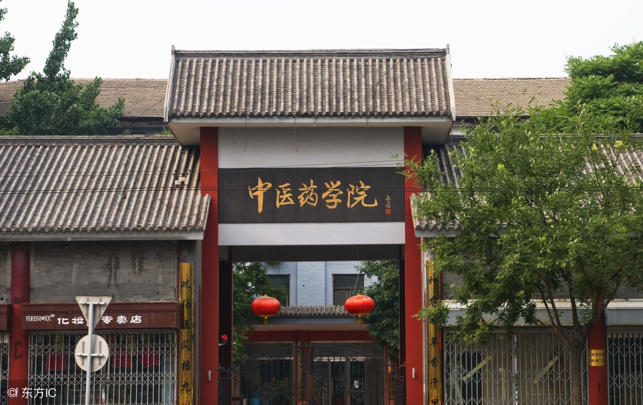 学习中医推拿在哪里学,学习中医推拿理疗课程