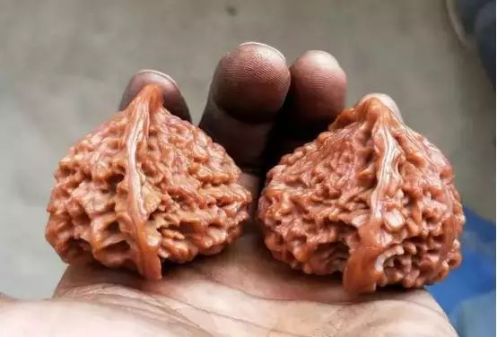 文玩核桃先挂瓷还是先包浆,文玩核桃纯刷能包浆玉化吗